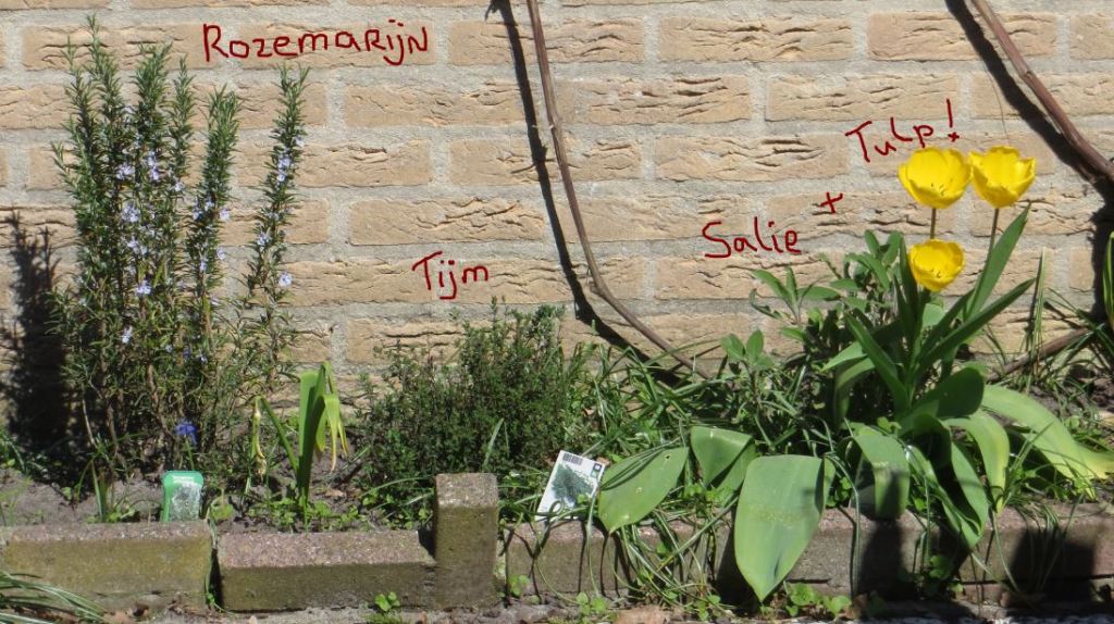 Astrids kruidentuintje