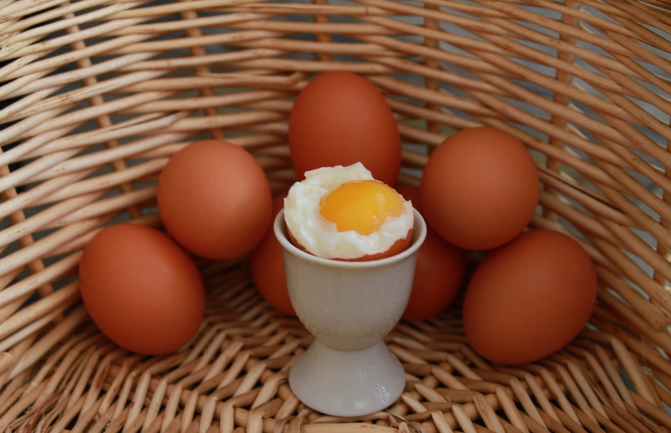 eggs-750847_960_720